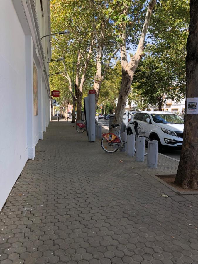 1 Y Salon Con Sofa Cama Bien Comunicado Con El Centro Sevilla